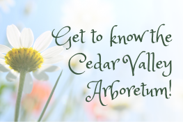 Get to know the Cedar Valley Arboretum!