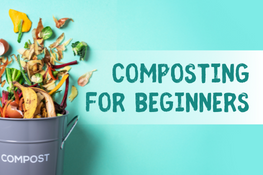 Composting for Beginners